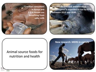 Better lives through livestock