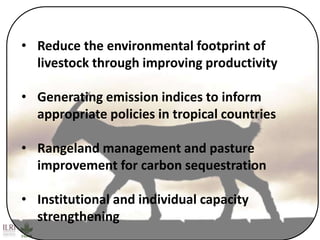 Better lives through livestock