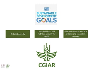 Better lives through livestock