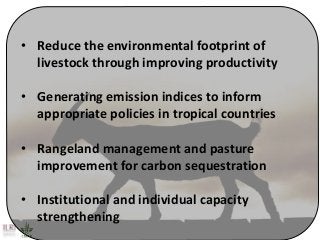 Better lives through livestock