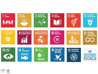 Better lives through livestock