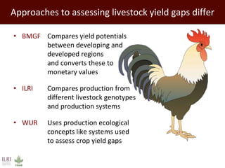 Closing livestock yield gaps in the developing world: Imperatives for people and the planet