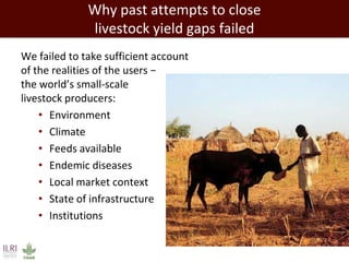 Closing livestock yield gaps in the developing world: Imperatives for people and the planet