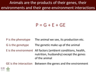 Closing livestock yield gaps in the developing world: Imperatives for people and the planet