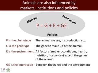 Closing livestock yield gaps in the developing world: Imperatives for people and the planet
