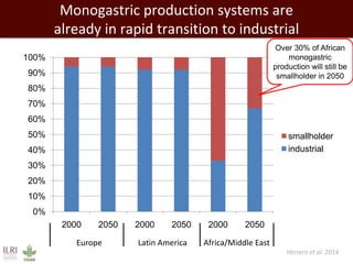 Closing livestock yield gaps in the developing world: Imperatives for people and the planet
