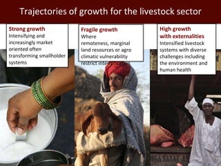 Closing livestock yield gaps in the developing world: Imperatives for people and the planet