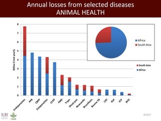 Closing livestock yield gaps in the developing world: Imperatives for people and the planet
