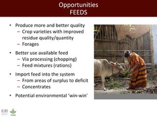 Closing livestock yield gaps in the developing world: Imperatives for people and the planet