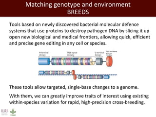 Closing livestock yield gaps in the developing world: Imperatives for people and the planet