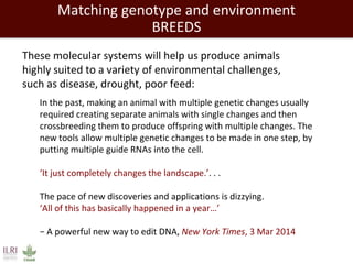 Closing livestock yield gaps in the developing world: Imperatives for people and the planet