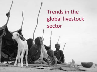 The global livestock sector: Opportunities and challenges