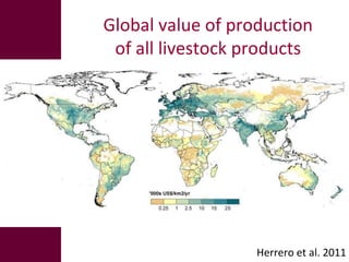 The global livestock sector: Opportunities and challenges