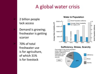 The global livestock sector: Opportunities and challenges