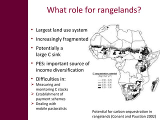 The global livestock sector: Opportunities and challenges