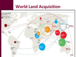 The global livestock sector: Opportunities and challenges