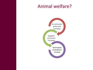 The global livestock sector: Opportunities and challenges