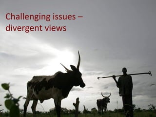 The global livestock sector: Opportunities and challenges