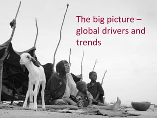 The global livestock sector: Opportunities and challenges