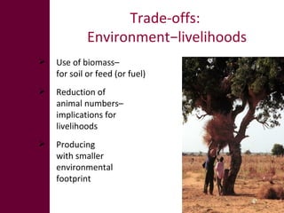 The global livestock sector: Opportunities and challenges