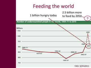 The global livestock sector: Opportunities and challenges