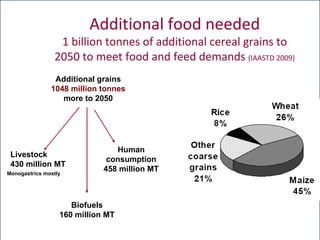 The global livestock sector: Opportunities and challenges