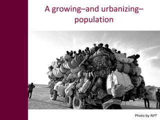 The global livestock sector: Opportunities and challenges