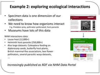 Example 2: exploring ecological interactions
• Specimen data is one dimension of our
collections
• We need to know how organisms interact
E.g. Predator-prey, pollinator-pollenated, host-parasite
• Museums have lots of this data
NHM Interactions data:
• Louse-host (12,000+)
• Helminth host-parasite (250,000+)
• Also large datasets: Coleoptera feeding on
dipterocarp seeds, butterfly host-plants,
British mammal-flea associations, bee flower
pollinators, several parasitic wasp datasets,
….
Increasingly published as RDF via NHM Data Portal
 