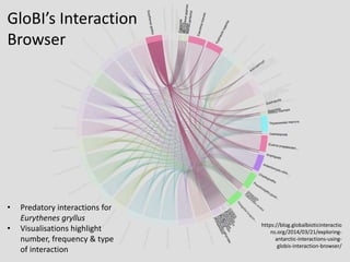 • Predatory interactions for
Eurythenes gryllus
• Visualisations highlight
number, frequency & type
of interaction
GloBI’s Interaction
Browser
https://blog.globalbioticinteractio
ns.org/2014/03/21/exploring-
antarctic-interactions-using-
globis-interaction-browser/
 