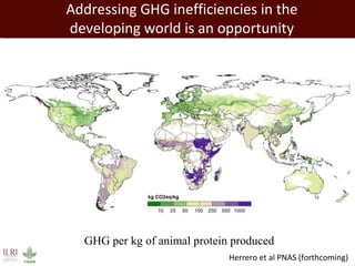 Livestock in developing countries: Animal health challenges and opportunities 