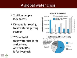 Livestock in developing countries: Animal health challenges and opportunities 