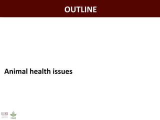 Livestock in developing countries: Animal health challenges and opportunities 