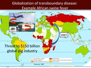 Livestock in developing countries: Animal health challenges and opportunities 
