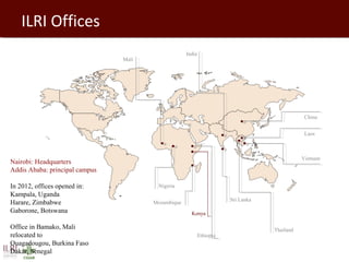 Livestock in developing countries: Animal health challenges and opportunities 