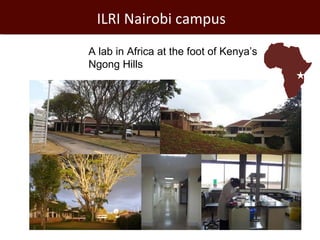 Livestock in developing countries: Animal health challenges and opportunities 