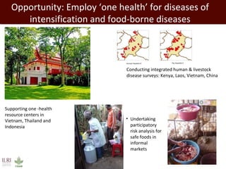 Livestock in developing countries: Animal health challenges and opportunities 