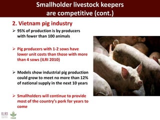 The developing world’s smallholder livestock sector   