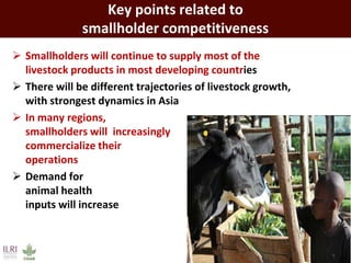 The developing world’s smallholder livestock sector   