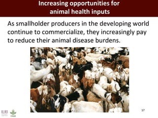 The developing world’s smallholder livestock sector   