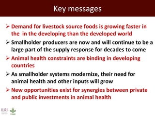 The developing world’s smallholder livestock sector   