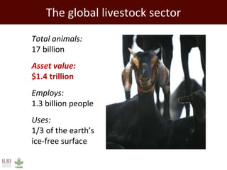 The developing world’s smallholder livestock sector   