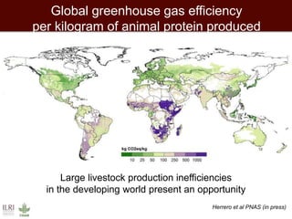 African animal agriculture: Grasping opportunities