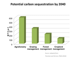 African animal agriculture: Grasping opportunities