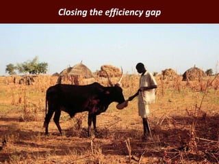 African animal agriculture: Grasping opportunities