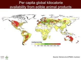 African animal agriculture: Grasping opportunities