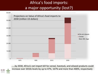 Africa’s agricultural development promises much more than food security