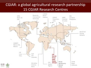 Africa’s agricultural development promises much more than food security