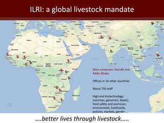 Africa’s agricultural development promises much more than food security