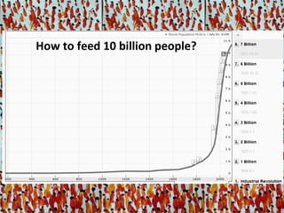 Africa’s agricultural development promises much more than food security