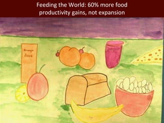 Africa’s agricultural development promises much more than food security